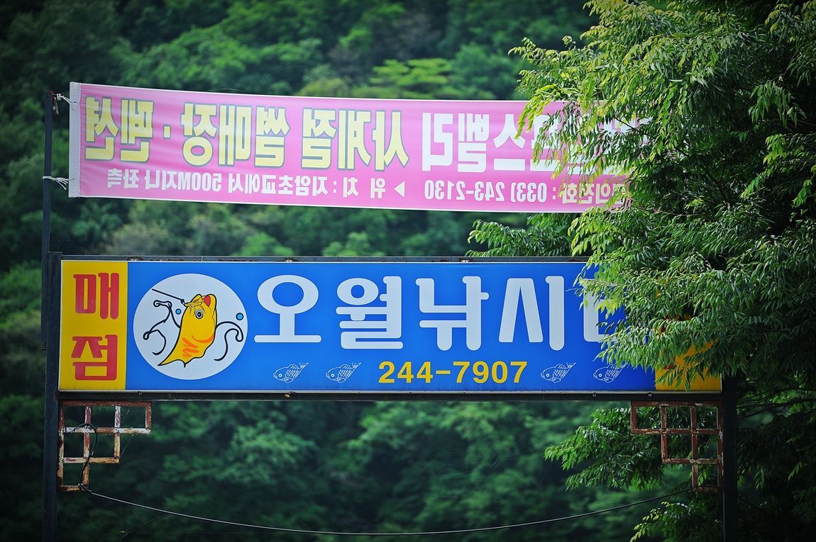 51.jpg