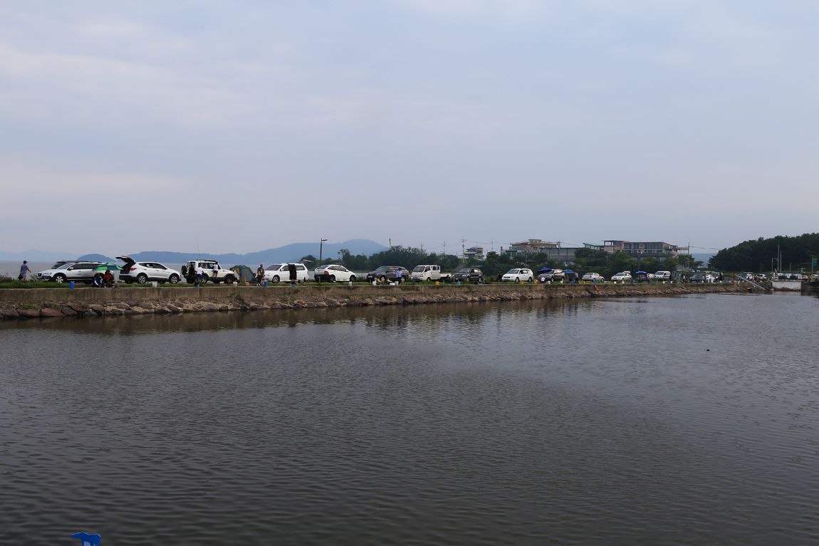 IMG_3561.JPG