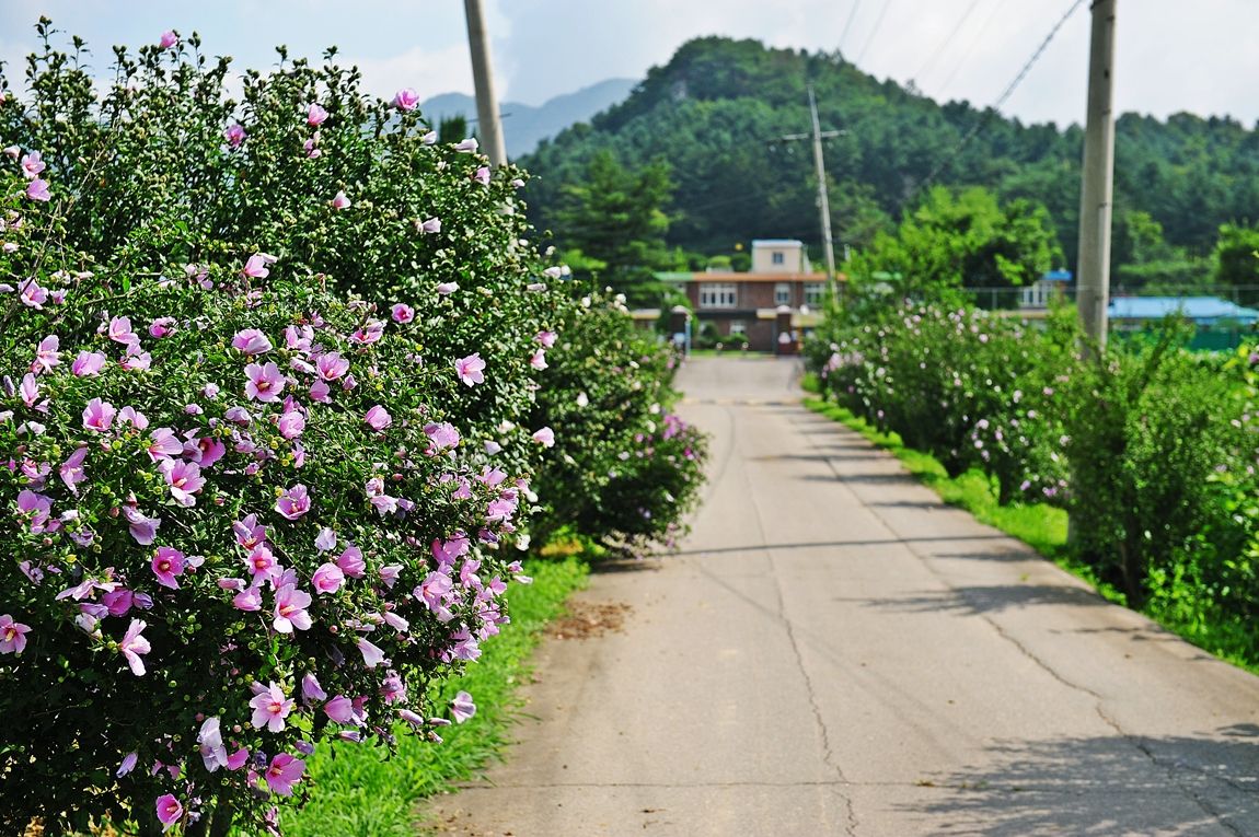 낚시사랑 > 홍천 글램핑투웰브 : 낚시사랑