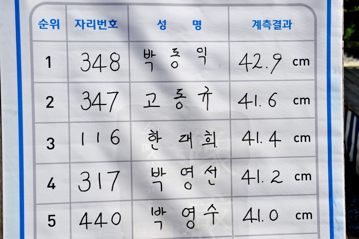 46.JPG