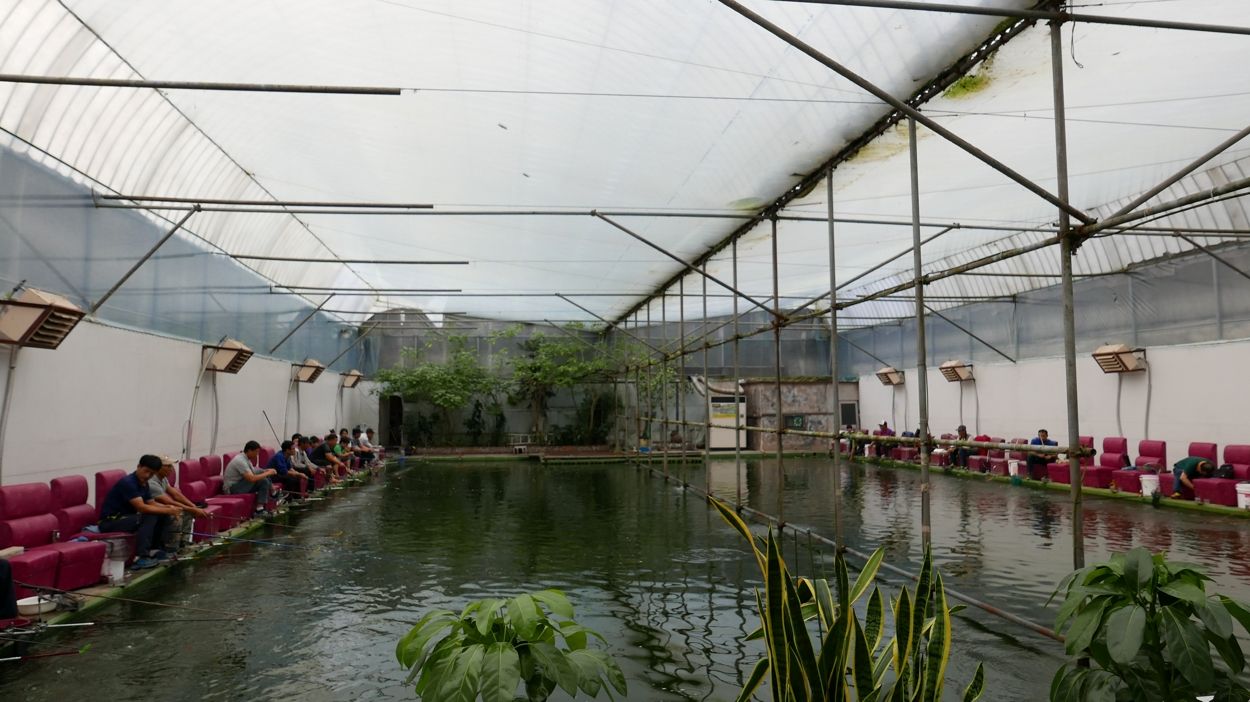 36.jpg