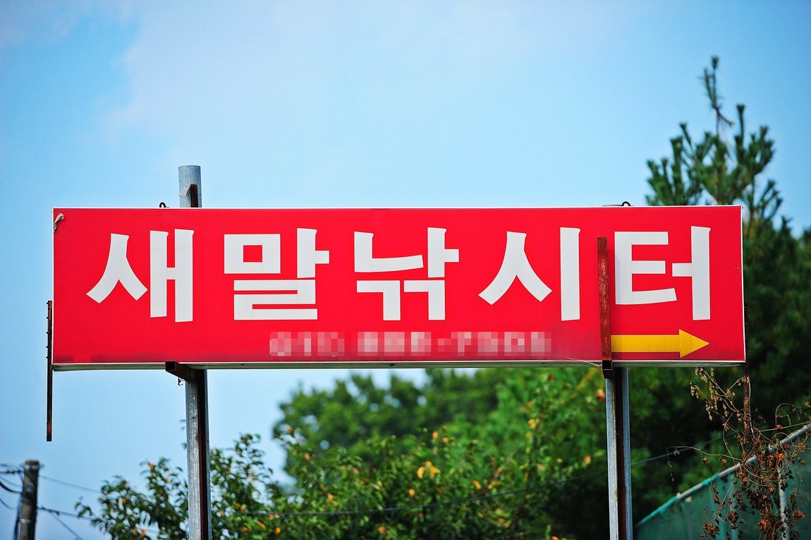 60.JPG