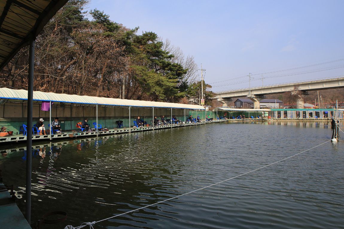 예담2 > 배양리 낚시터 : 낚시사랑