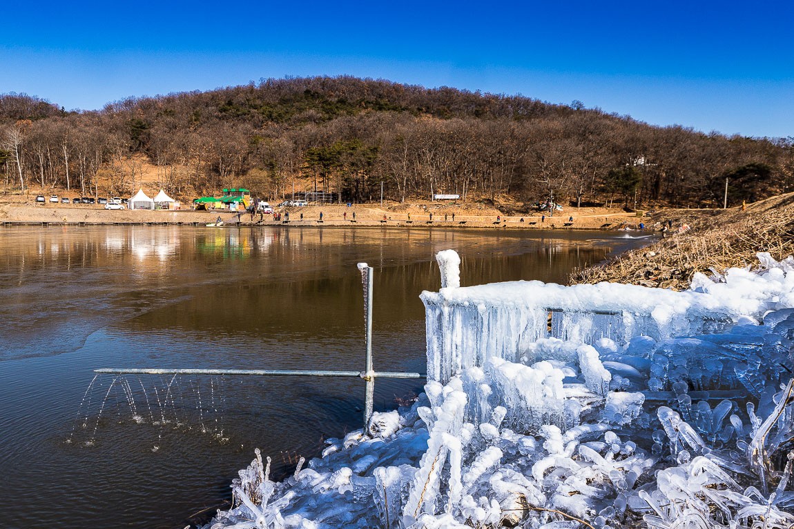 IMG_3907.jpg