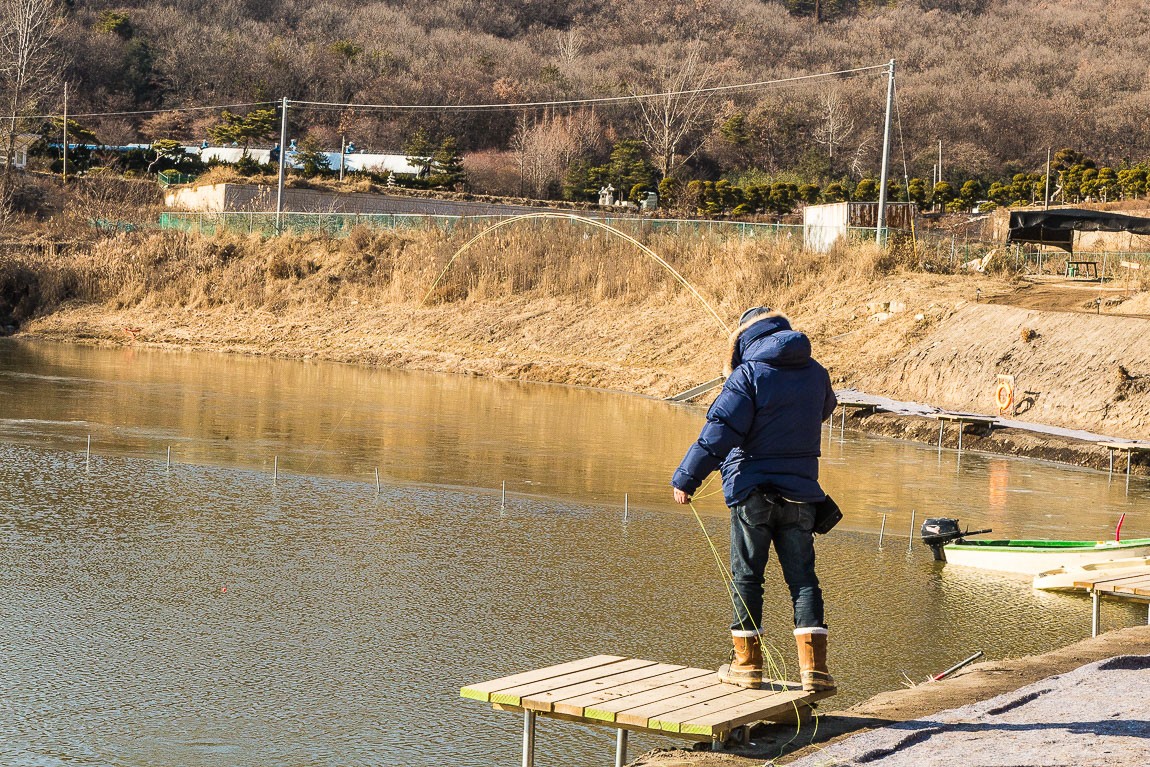 IMG_3945.jpg
