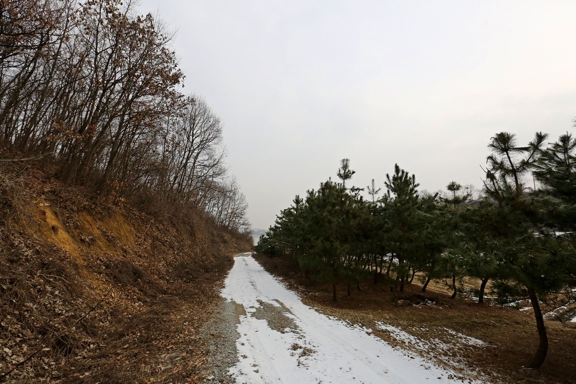 3A6A9241.JPG