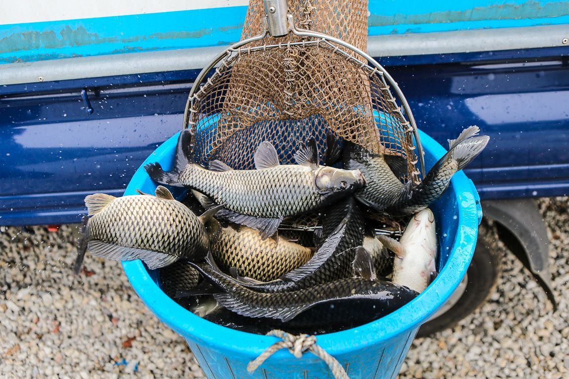 IMG_0038.jpg