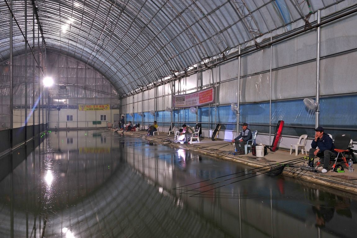 DSC_1578.JPG