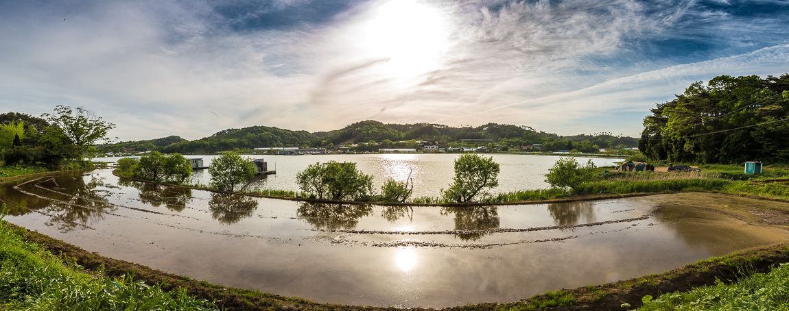 IMG_1966-Pano.jpg
