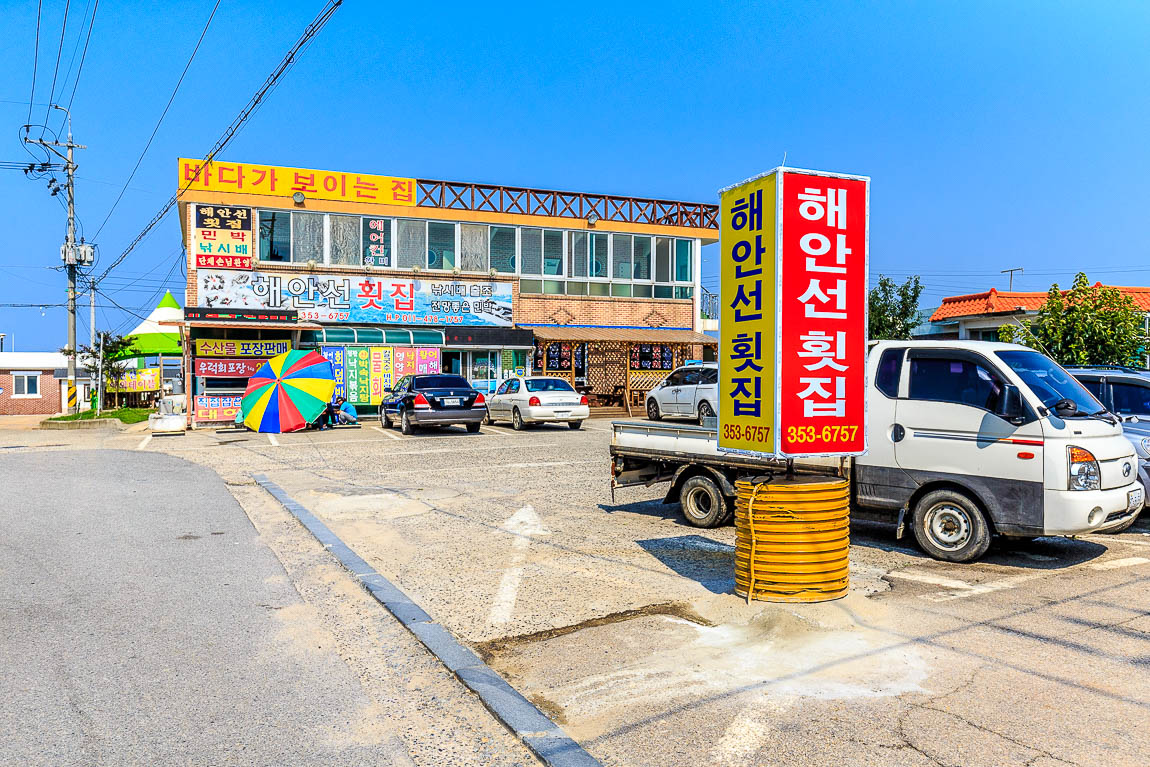 예담2 > 보들보들~ 꼬들꼬들~ 오글오글~ 먹물 파티 해안선호 : 낚시사랑