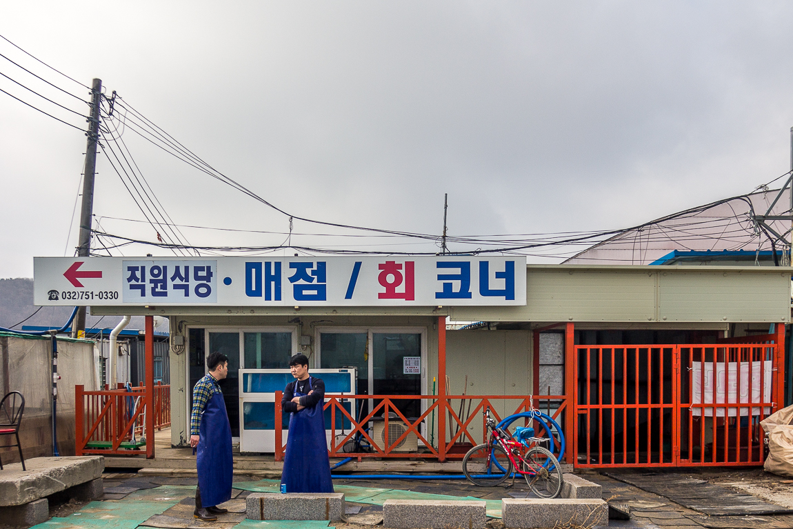 예담2 > 클래스는 영원하다~ ! 정성바다낚시터 개장 이야기 : 낚시사랑