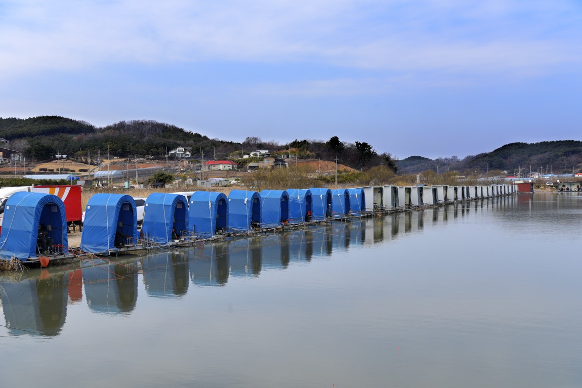 강호지락 > 영흥도 내동낚시터 : 낚시사랑