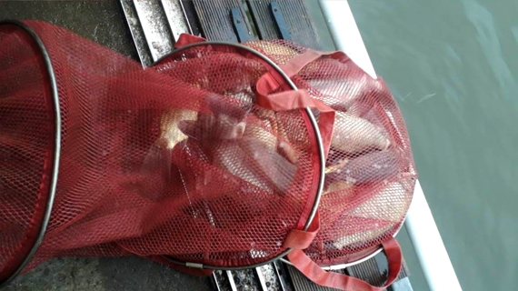 20200110095753_prvv[1].jpg