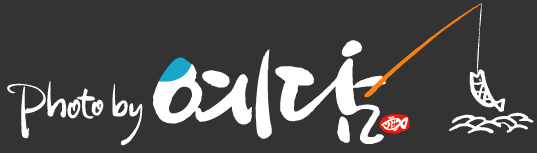 ¿¹´ã-±×·¹ÀÌ-01.jpg