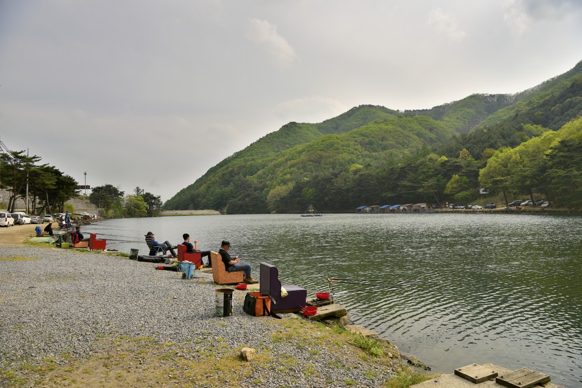 DSC_2950.JPG