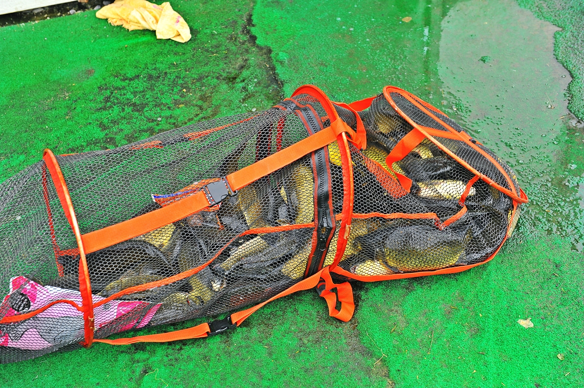 15.JPG