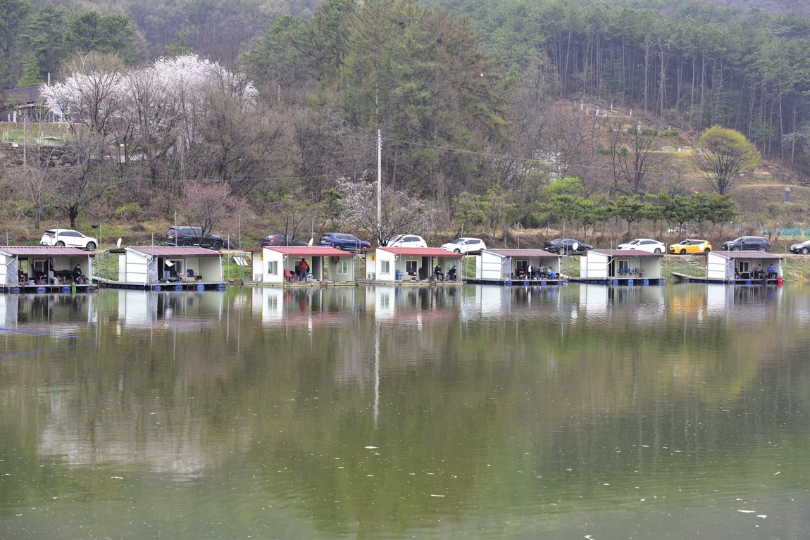 °íÃʰñ_52.JPG