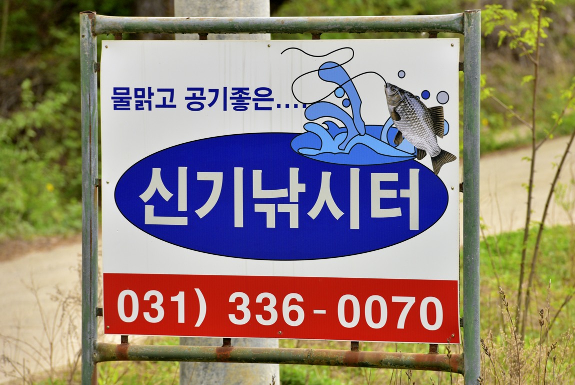 ½Å±â_0_DSC_4415.JPG