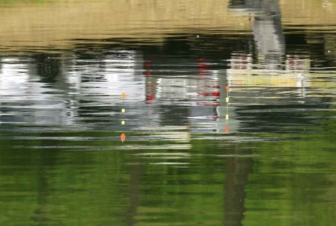 ½Å±â_36_DSC_4390.JPG