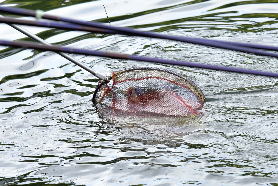 ½Å±â_43_DSC_4497.JPG
