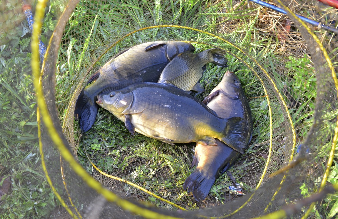 ½Å±â_59_DSC_4579.JPG