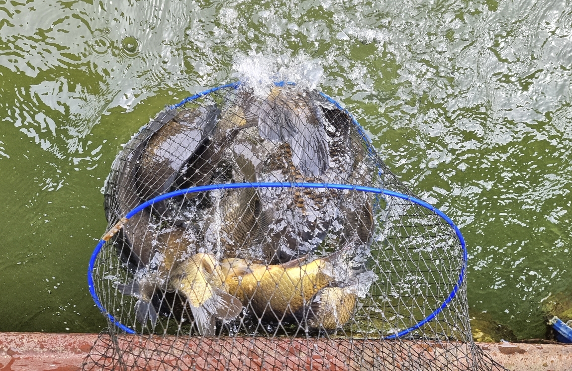 ½Å±â_61_20210428_105642.jpg