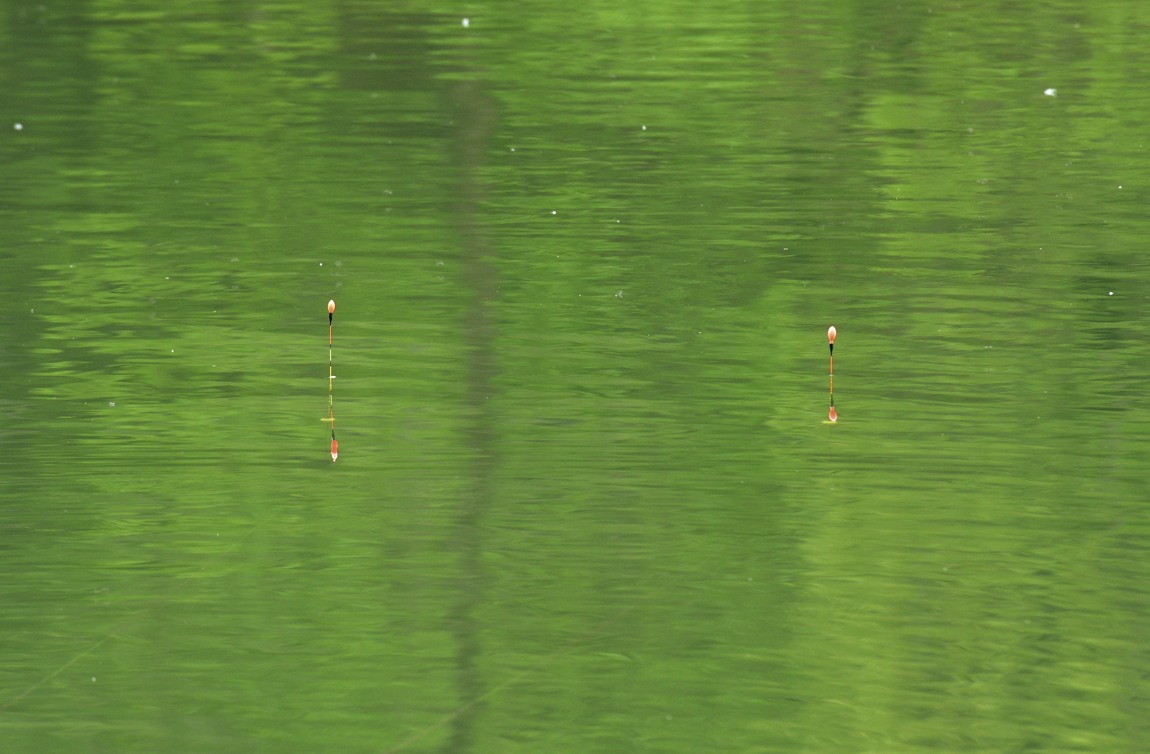 ½Å±â_64_DSC_4367.JPG