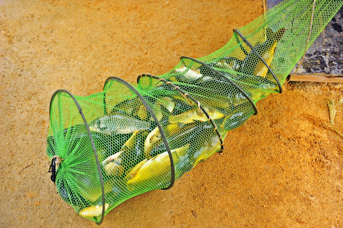 36.jpg