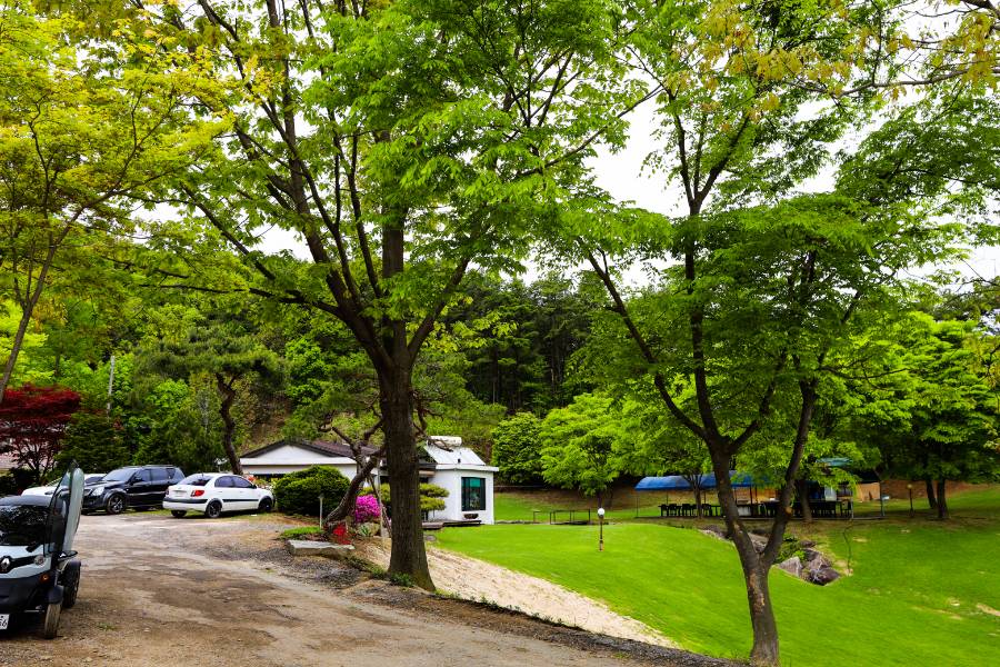 청춘어락 > 여주 관광농원 낚시터 : 낚시사랑