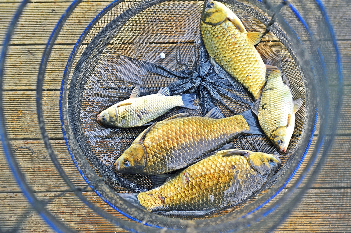 49.JPG