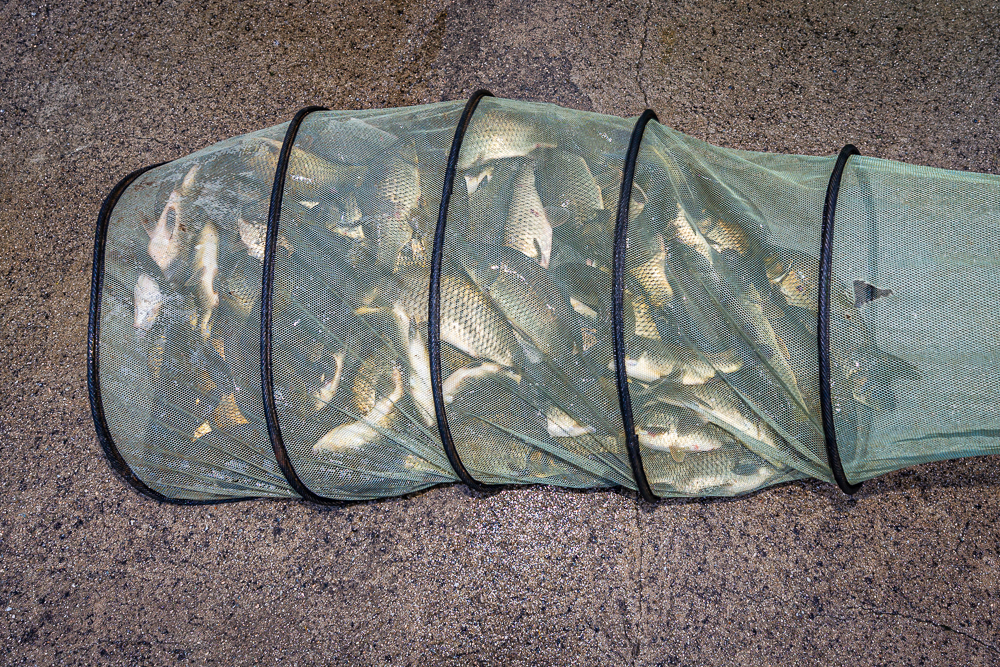 À層-36.jpg
