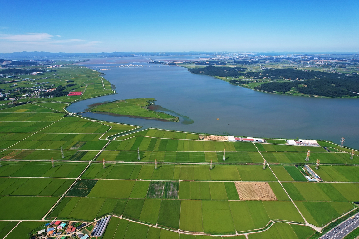 DJI_0919.JPG