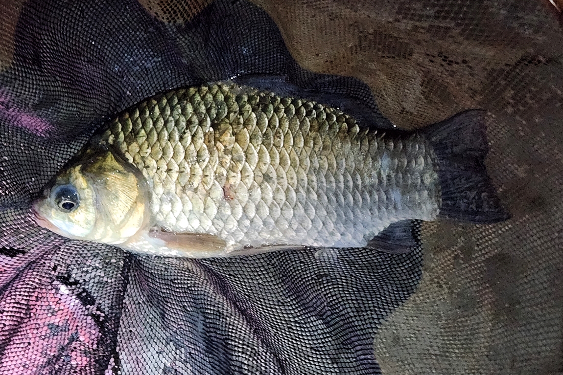 20230827_012431.jpg