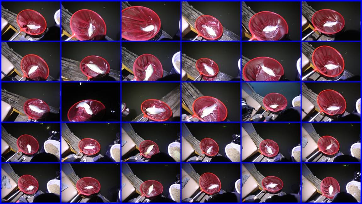 040-tile.jpg