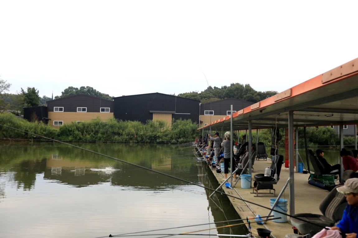 080.JPG