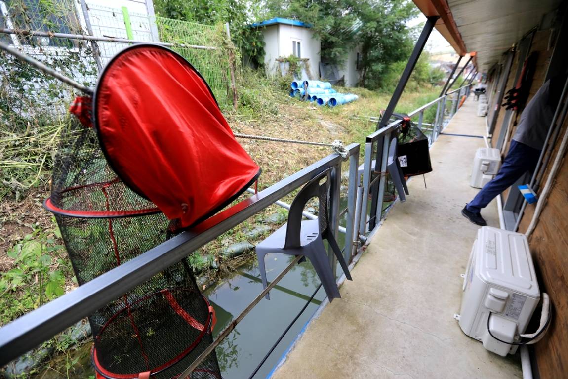 106.JPG