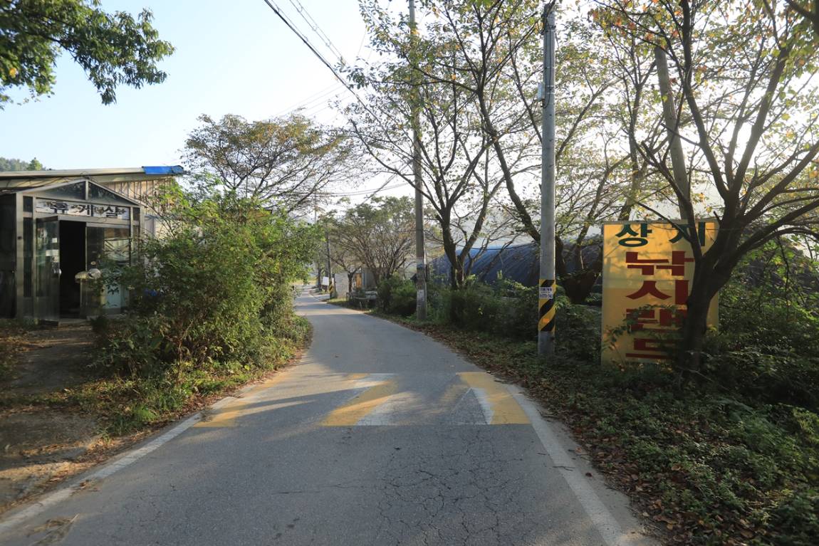 050.JPG