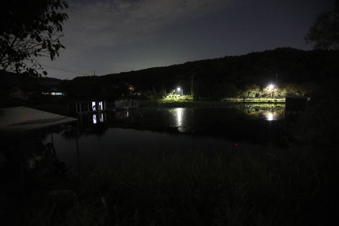 080.JPG