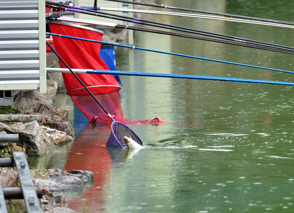 DSC_1374.JPG