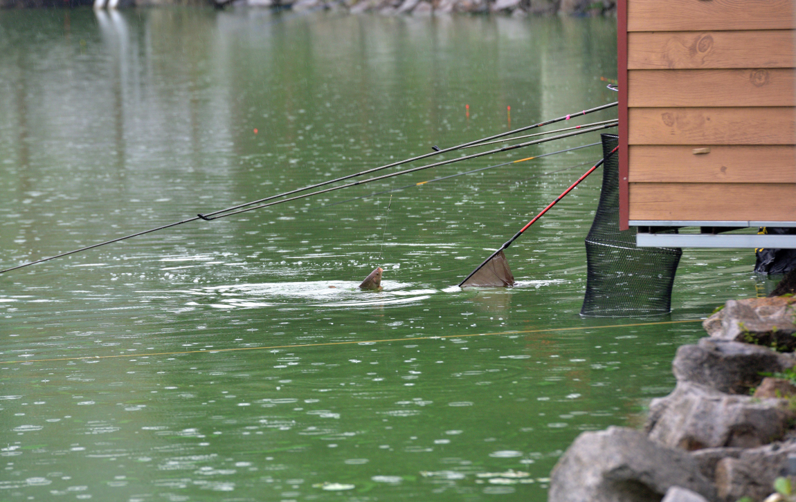 DSC_1416.JPG