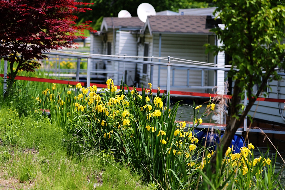 A16I6487.JPG