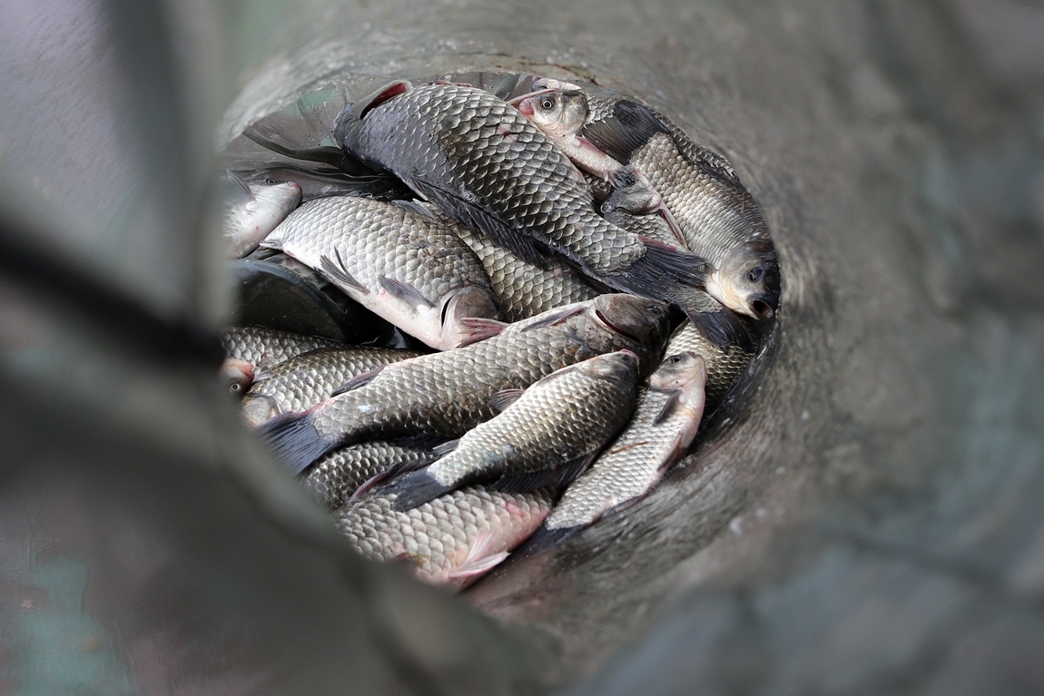 20180530142602_tbatqaad[1].jpg