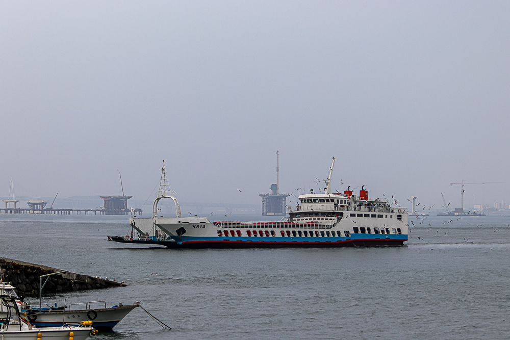 IMG_1177.jpg