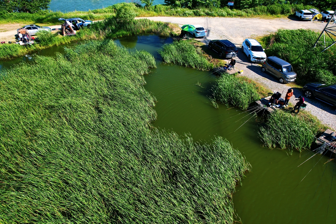 DJI_0577.JPG