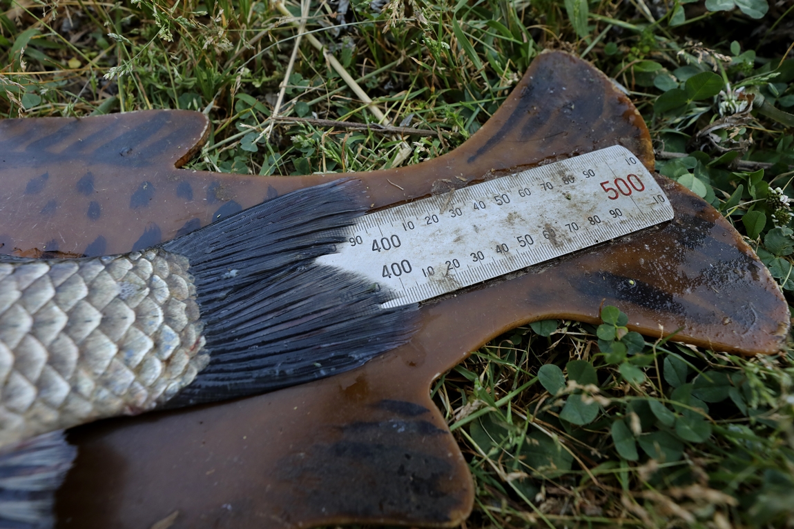 576A8434.JPG