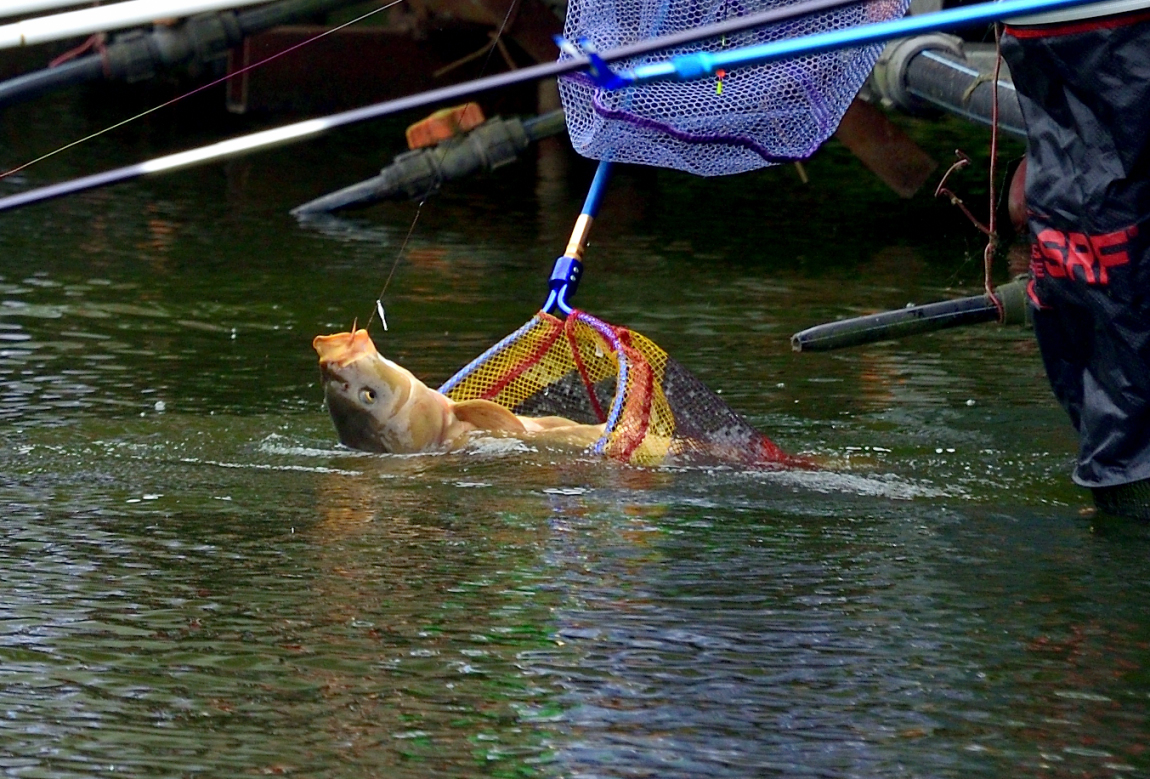 12.JPG