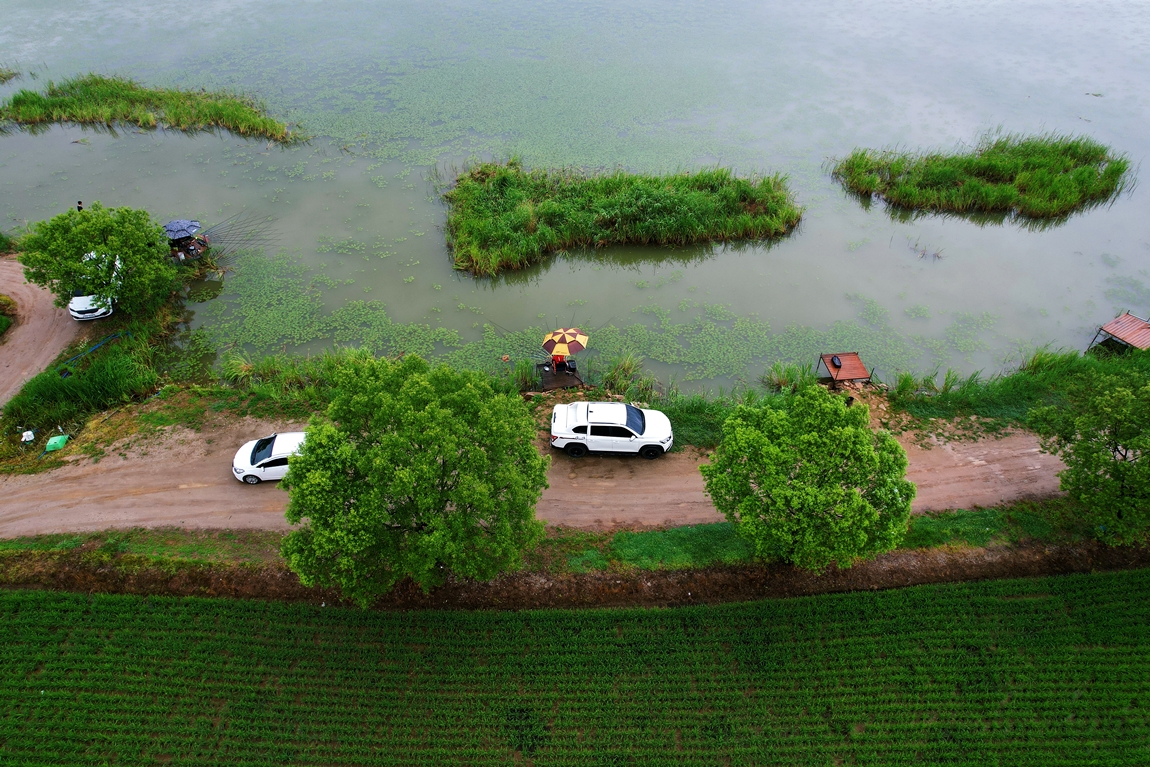 DJI_0710.JPG