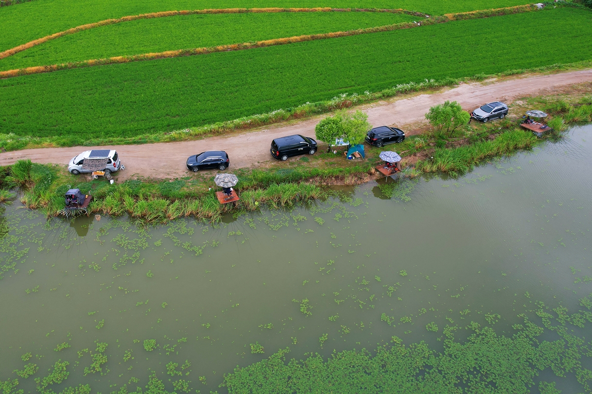 DJI_0774.JPG