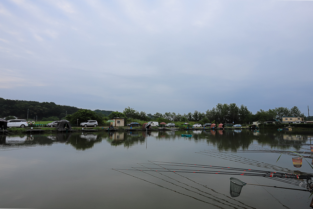 IMG_0461.jpg