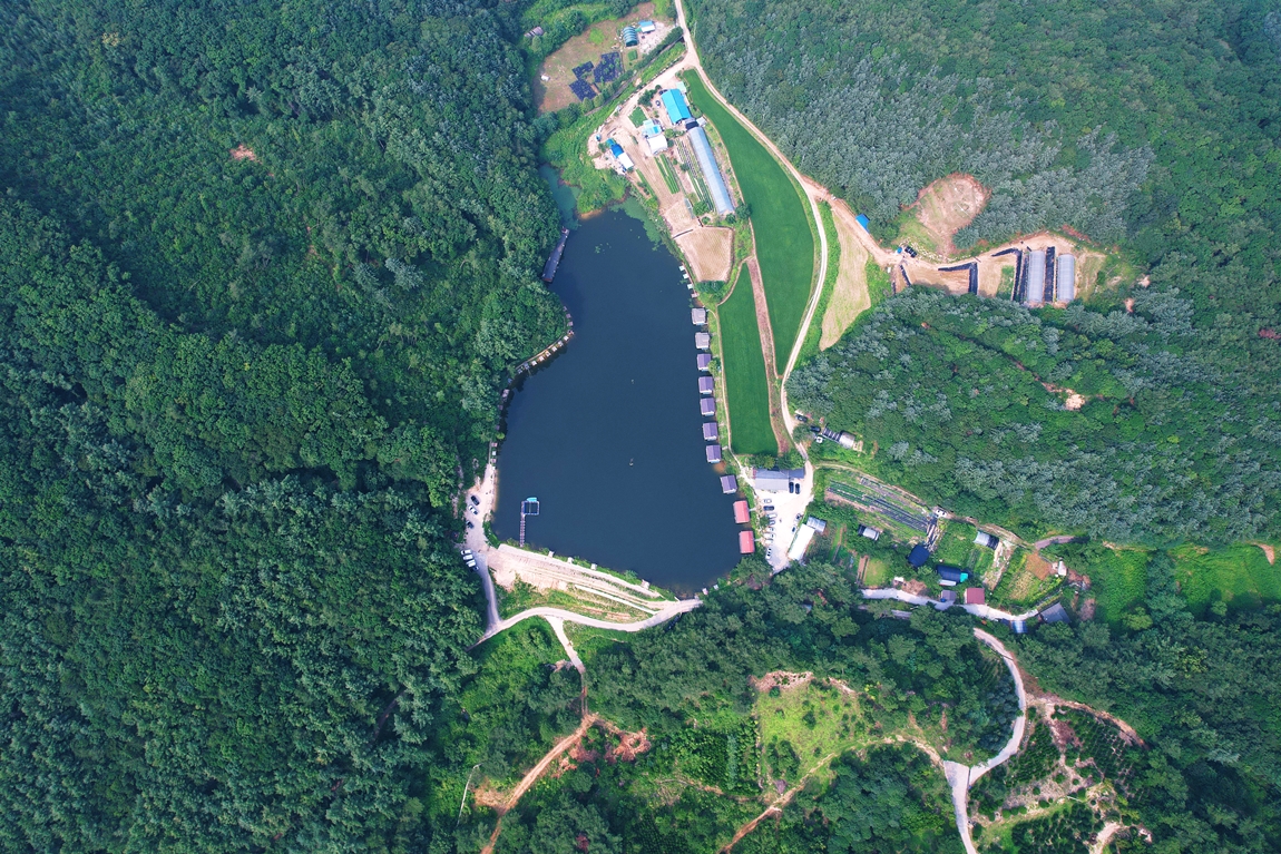 DJI_0980.JPG